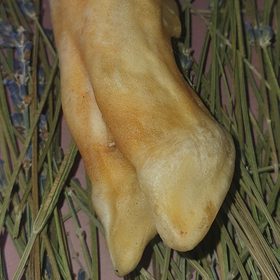 Lammfuß