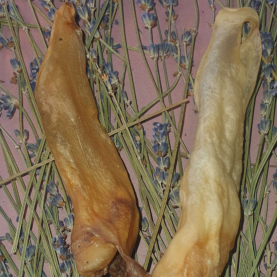 Lammohren